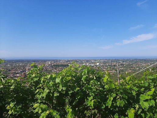 casale in vendita a Seravezza in zona Pozzi