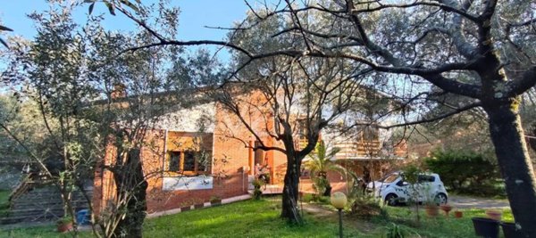 casa indipendente in vendita a Seravezza in zona Pozzi