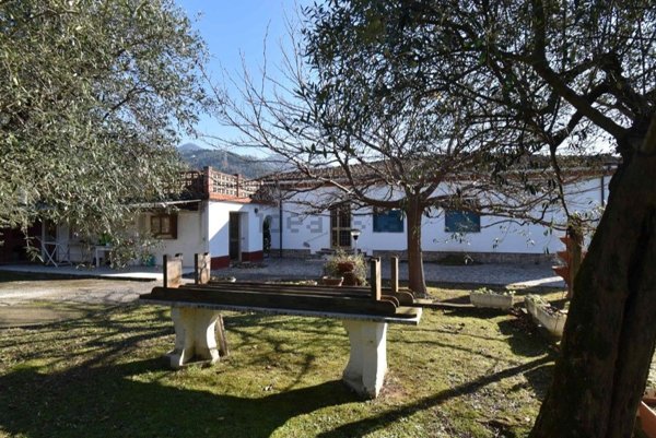 casa indipendente in vendita a Seravezza in zona Pozzi