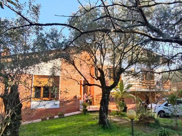 casa indipendente in vendita a Seravezza in zona Pozzi