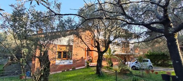 casa indipendente in vendita a Seravezza in zona Pozzi