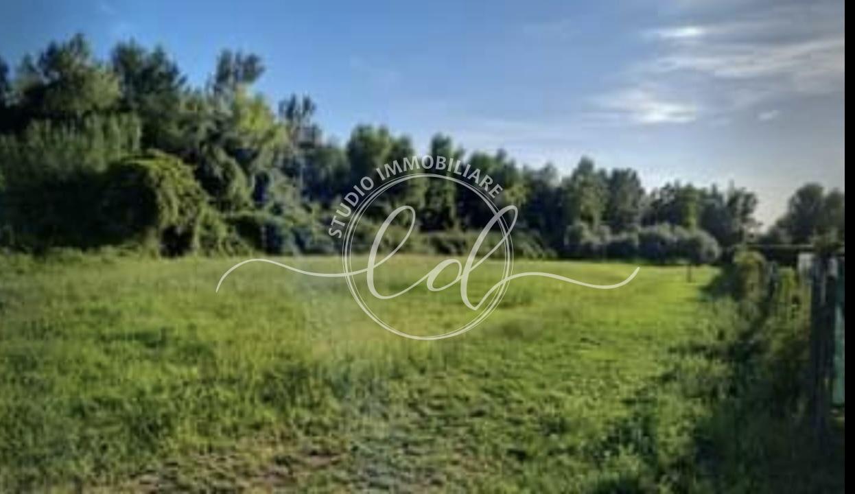 terreno agricolo in vendita a Seravezza