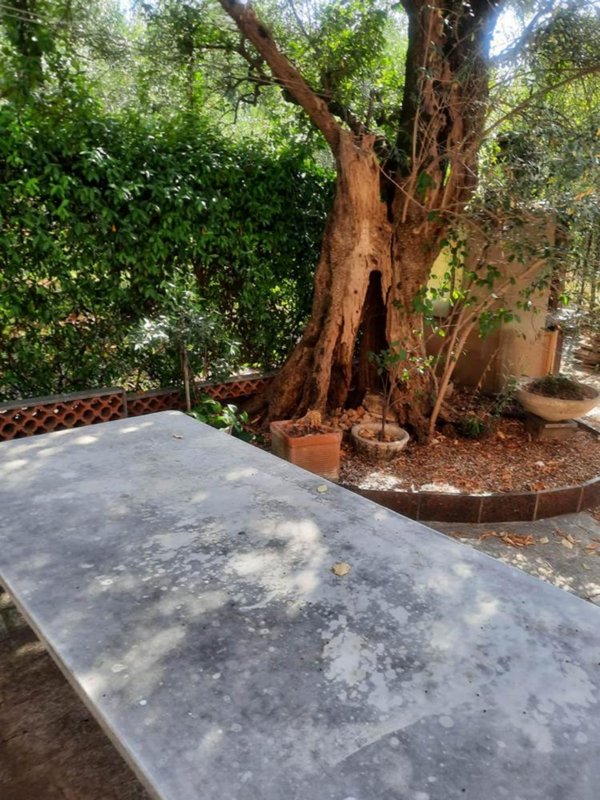 casa indipendente in vendita a Seravezza in zona Querceta