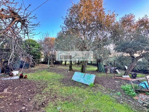 casa indipendente in vendita a Seravezza