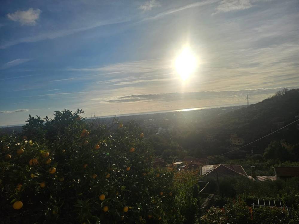 casa indipendente in vendita a Seravezza in zona Ripa