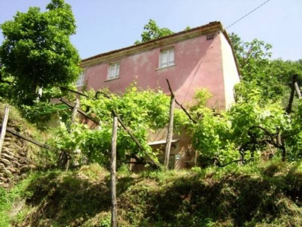 casa indipendente in vendita a Seravezza in zona Giustagnana