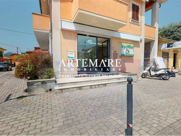 negozio in vendita a Seravezza in zona Ripa