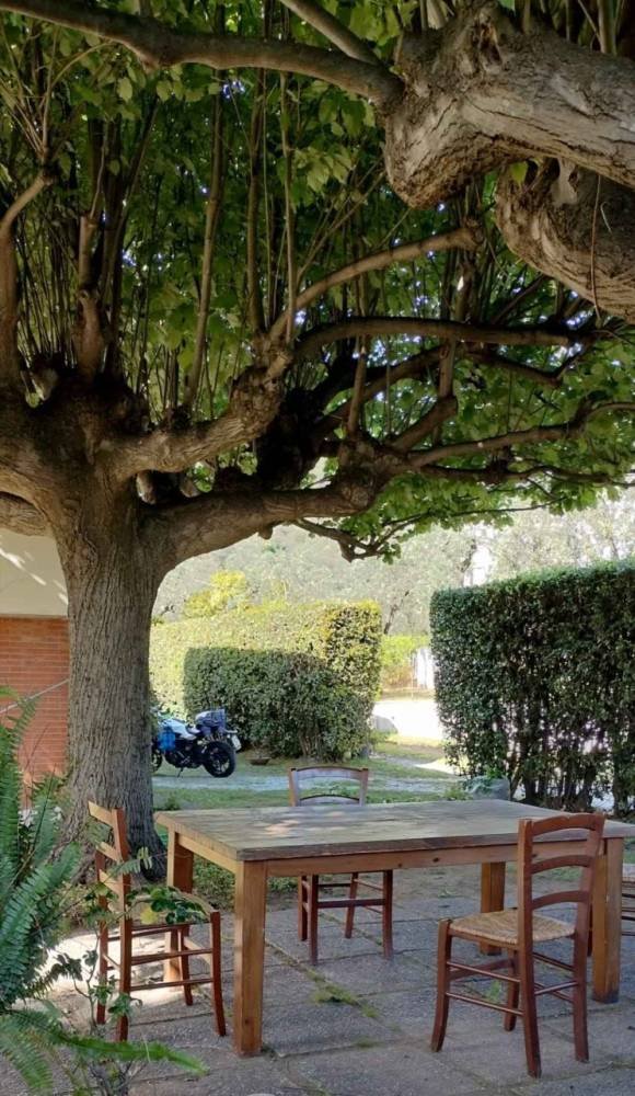 casa indipendente in vendita a Seravezza