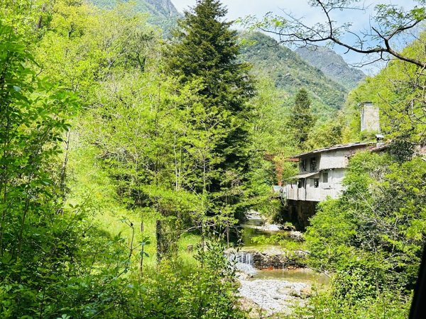 casa indipendente in vendita a Seravezza in zona Basati