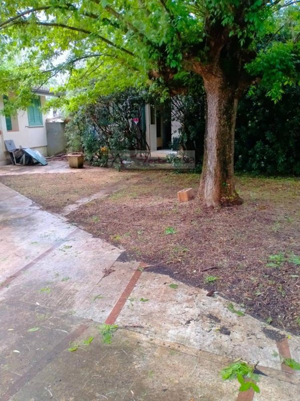 casa indipendente in vendita a Seravezza in zona Ripa