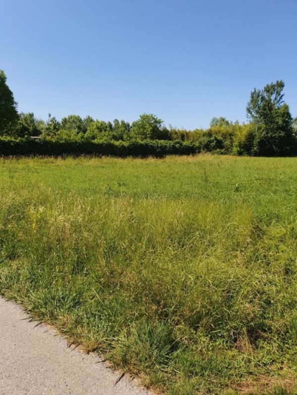 terreno agricolo in vendita a Seravezza