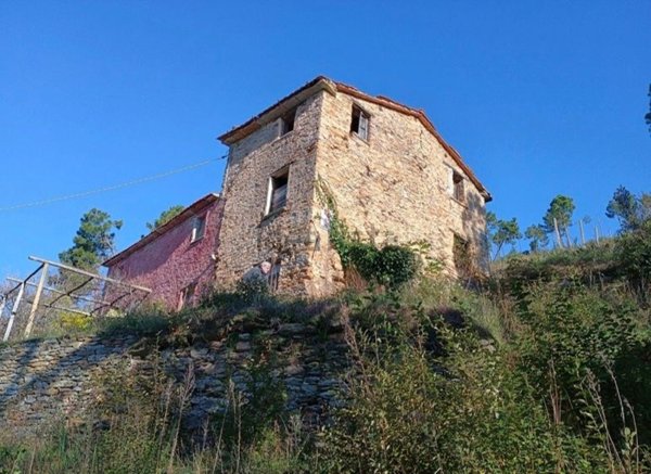 casale in vendita a Seravezza in zona Ripa