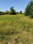 terreno agricolo in vendita a Seravezza
