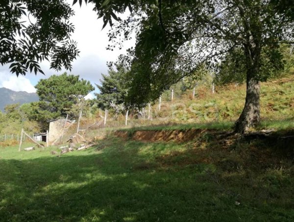 casa indipendente in vendita a Seravezza