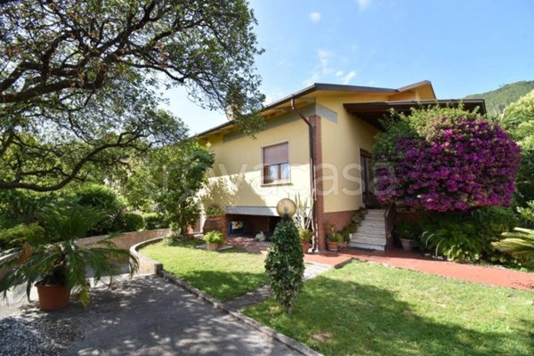 casa indipendente in vendita a Seravezza in zona Ripa