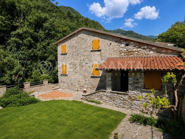 casa indipendente in vendita a Seravezza
