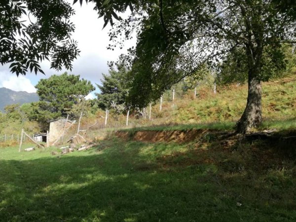 casa indipendente in vendita a Seravezza in zona Azzano