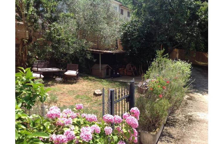 casa indipendente in vendita a Seravezza in zona Azzano