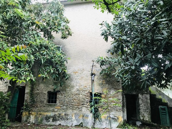 quadrivano in vendita a Seravezza in zona Querceta