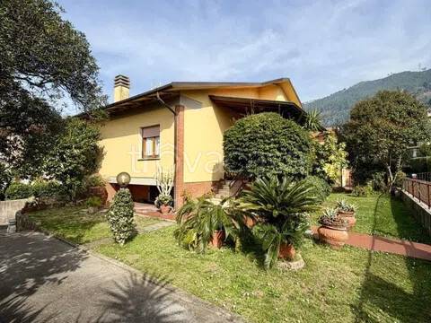 casa indipendente in vendita a Seravezza