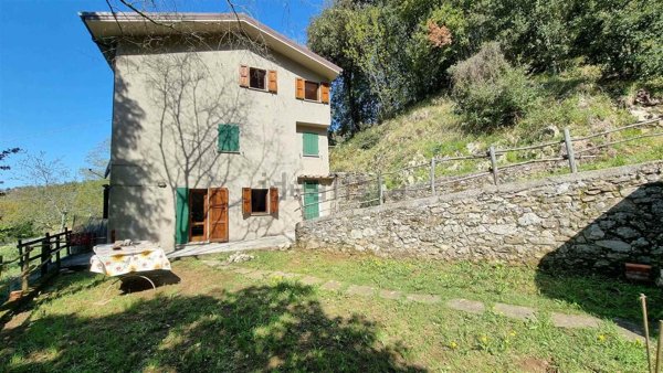 esavano in vendita a Stazzema