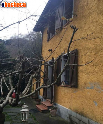appartamento in vendita a Stazzema in zona Mulina