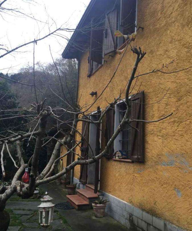 appartamento in vendita a Stazzema in zona Pomezzana