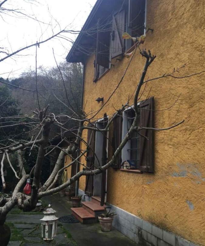 appartamento in vendita a Stazzema in zona Mulina