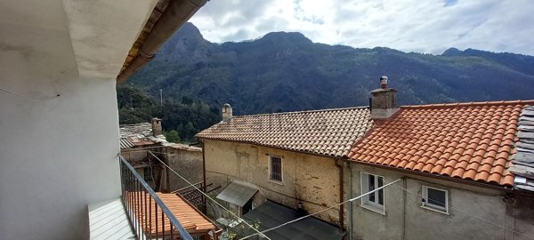 esavano in vendita a Stazzema