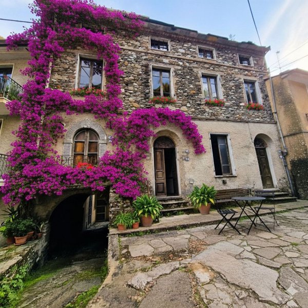casa indipendente in vendita a Stazzema in zona Pontestazzemese