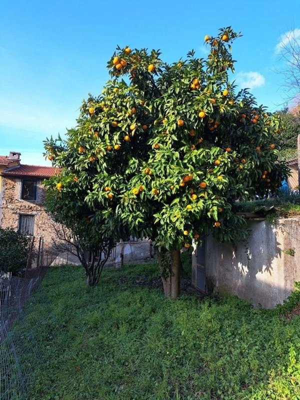 casa indipendente in vendita a Stazzema in zona Retignano