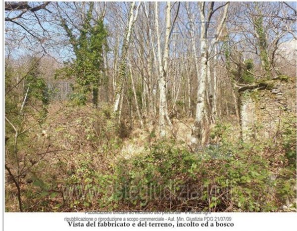 terreno edificabile in vendita a Stazzema in zona Levigliani