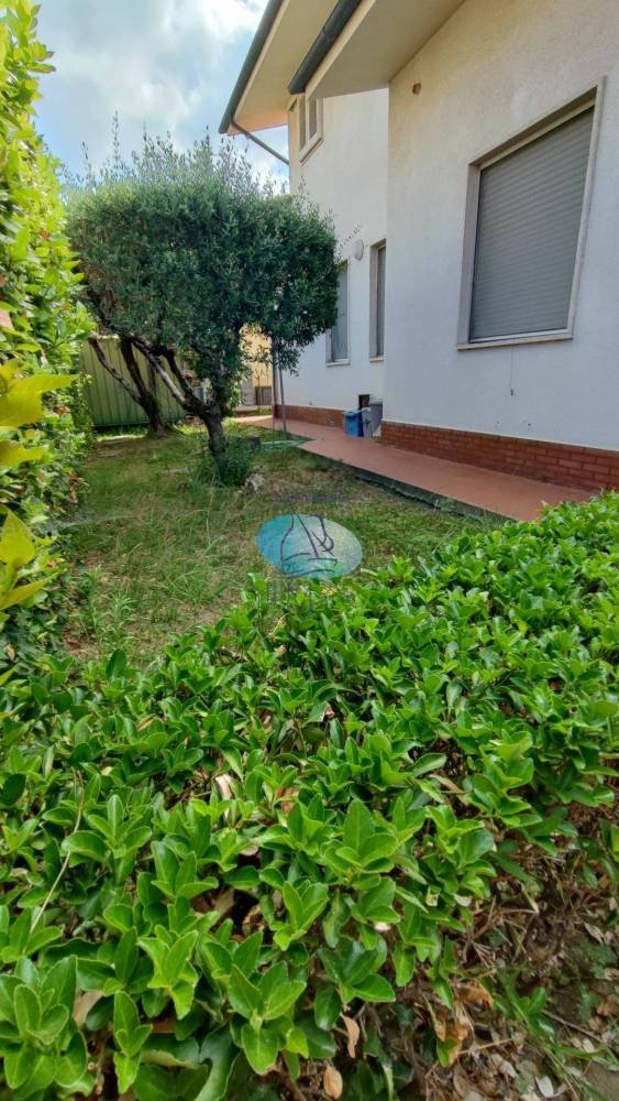 casa indipendente in vendita a Stazzema in zona Farnocchia