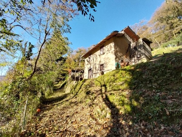 casa indipendente in vendita a Stazzema