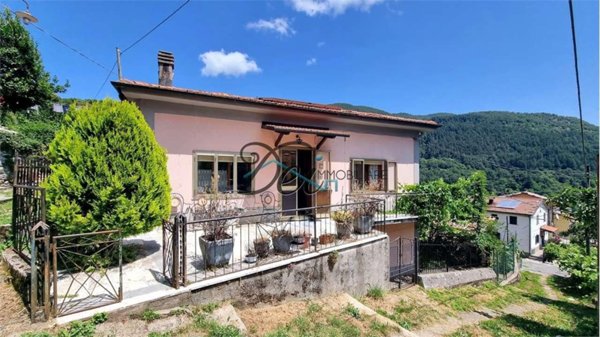 casa indipendente in vendita a Vagli Sotto in zona Vagli Sopra