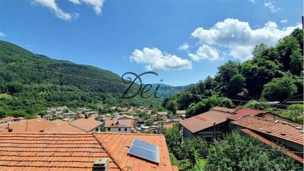 appartamento in vendita a Vagli Sotto in zona Vagli Sopra