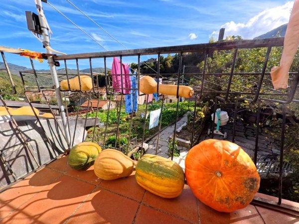 casa indipendente in vendita a Vagli Sotto in zona Vagli Sopra
