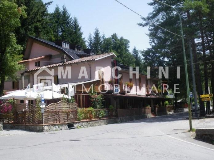 negozio in vendita a Vagli Sotto