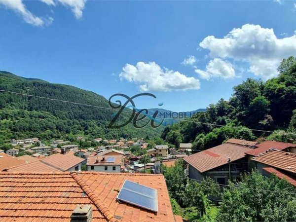 casa indipendente in vendita a Vagli Sotto in zona Vagli Sopra