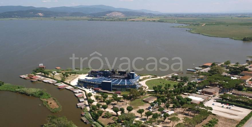 terreno agricolo in vendita a Viareggio in zona Torre del Lago