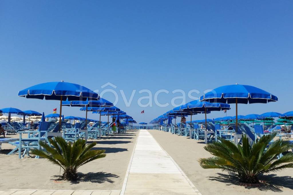 negozio in vendita a Viareggio