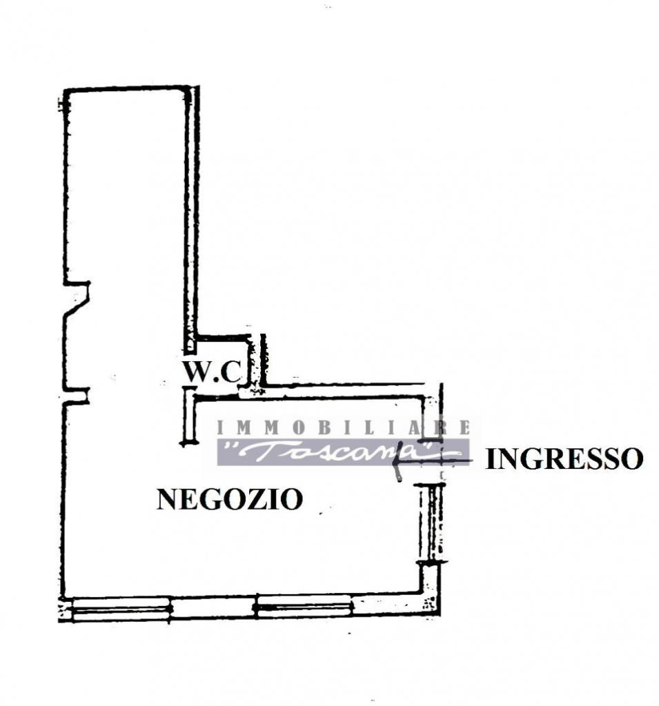 casa indipendente in vendita a Viareggio