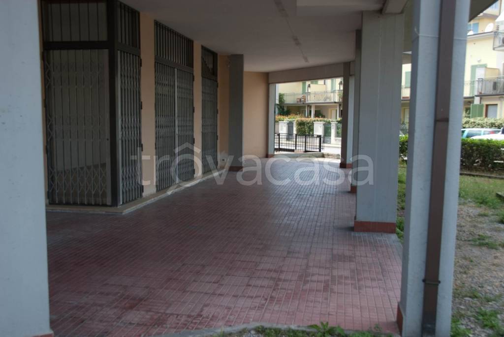 appartamento in vendita a Viareggio