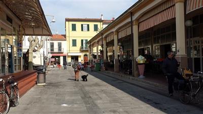 capannone in vendita a Viareggio