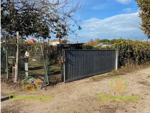 negozio in vendita a Viareggio in zona Torre del Lago