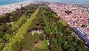 negozio in vendita a Viareggio