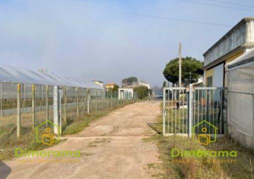 negozio in vendita a Viareggio in zona Migliarina