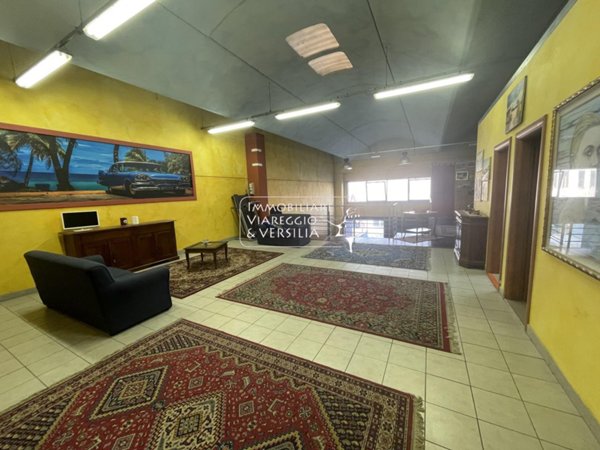 casa indipendente in vendita a Viareggio