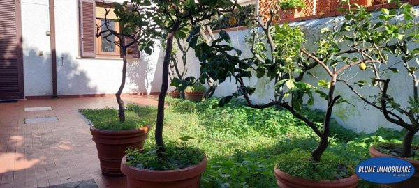 casa indipendente in vendita a Viareggio in zona Centro Storico