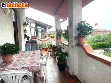 casa indipendente in vendita a Viareggio in zona Campo d'Aviazione